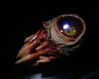 Image 20 of Nebula Fang Oracle Pendant - 1.5" Handmade OOAK