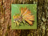 Image 2 of Flies (Options)