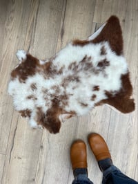 Image 10 of Sheepskin Pelts