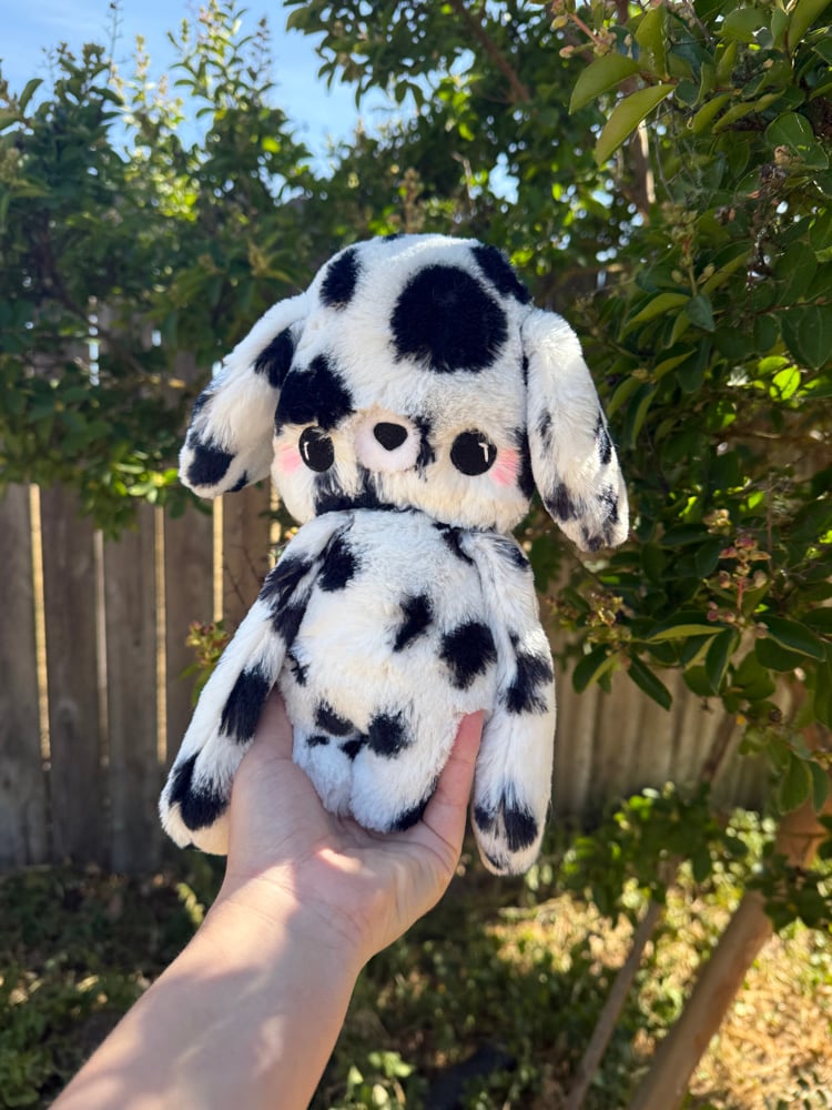Image of dalmation baby