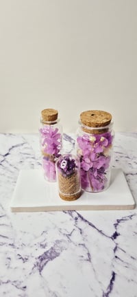 Image 1 of DIY Preserved Flower Workshop Kit
