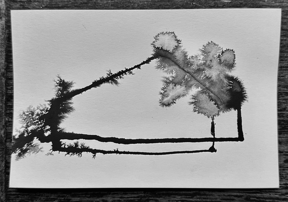 Postcard Collection No. 41