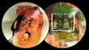 Dead Infection: A Chapter of Accidents- picture disc