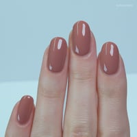 Image 16 of Glisten & Glow Saddle Up, Sugar