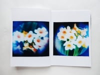 Image 4 of PANSIES & DAFFODILS, handmade sticker book 