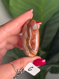 Image 5 of CHOOSE YOUR OWN MEXICAN LACE AGATE PALMSTONES 