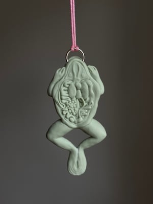 Dissected Frog Pendant Pink and Green 