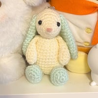 Image 1 of Mint Bunny