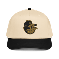 Image 1 of Bird Flu Retro x Modern O’s Inspired 5 Panel Cap