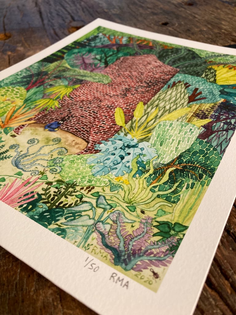 Isolation Limited Edition Signed Print Image 2