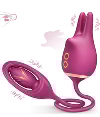 Image 2 of Mr. Rabbit 