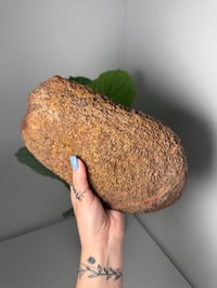 Image 4 of XXL MOROCCAN MOUNTAIN RED AGATE WITH NATURAL HEART