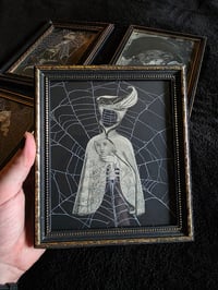 Image 1 of ANTIQUE ANATOMICAL AND FACELESS COLLECTION - Preserved web  - C