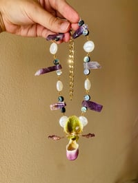Image 4 of 💚Paphiopedilum Amethyst&Abalone Shell 💚