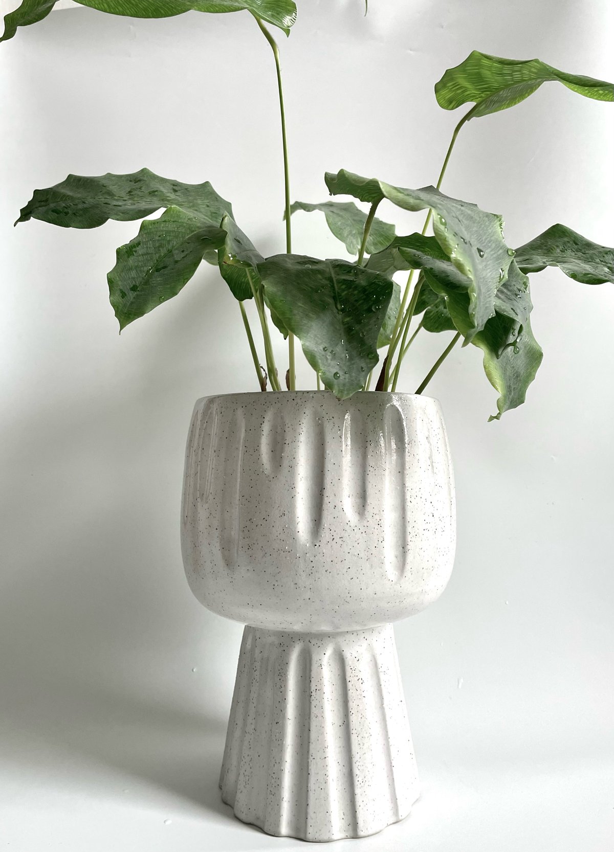 Image of Pedestal planter 1 