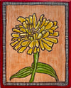 Yellow Zinnia 