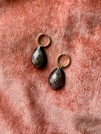 Snakehead cowry hoops