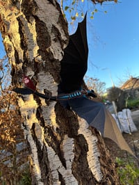 Image 2 of XL Night Dragon Wall Flyer Sculpture (wings up) - GLOW EDITION 