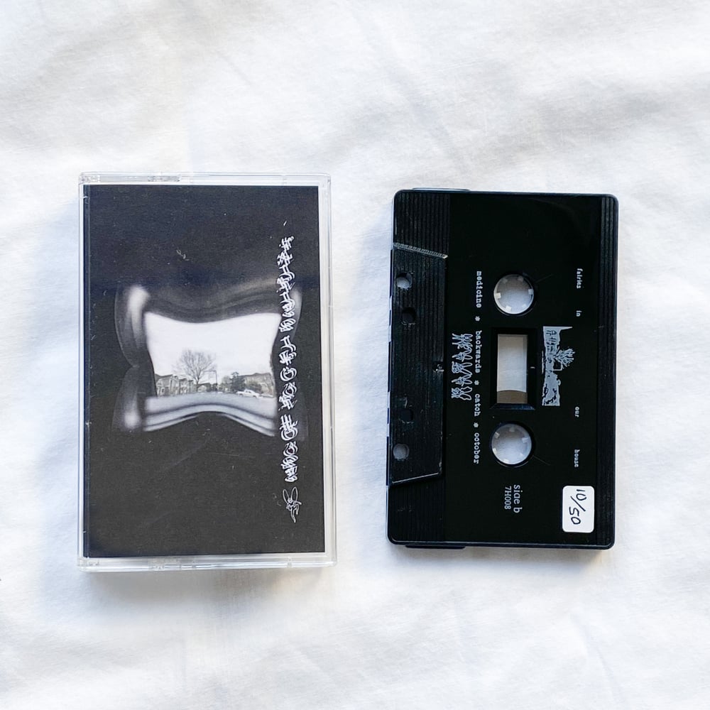 fairies in our house - “s/t” limited edition cassette