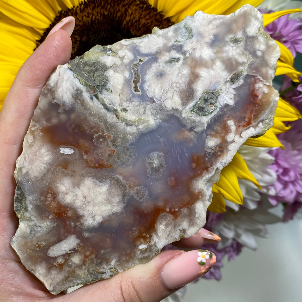 Image of Flower Agate Slab