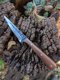 Image 2 of WALNUT MICRO FIGHTER