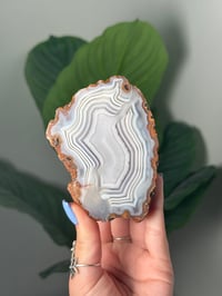 Image 1 of MILKY MOROCCAN AGATE WITH PARALAX 