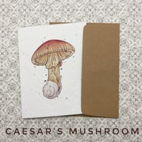 Image 1 of  Mushroom Greeting Cards