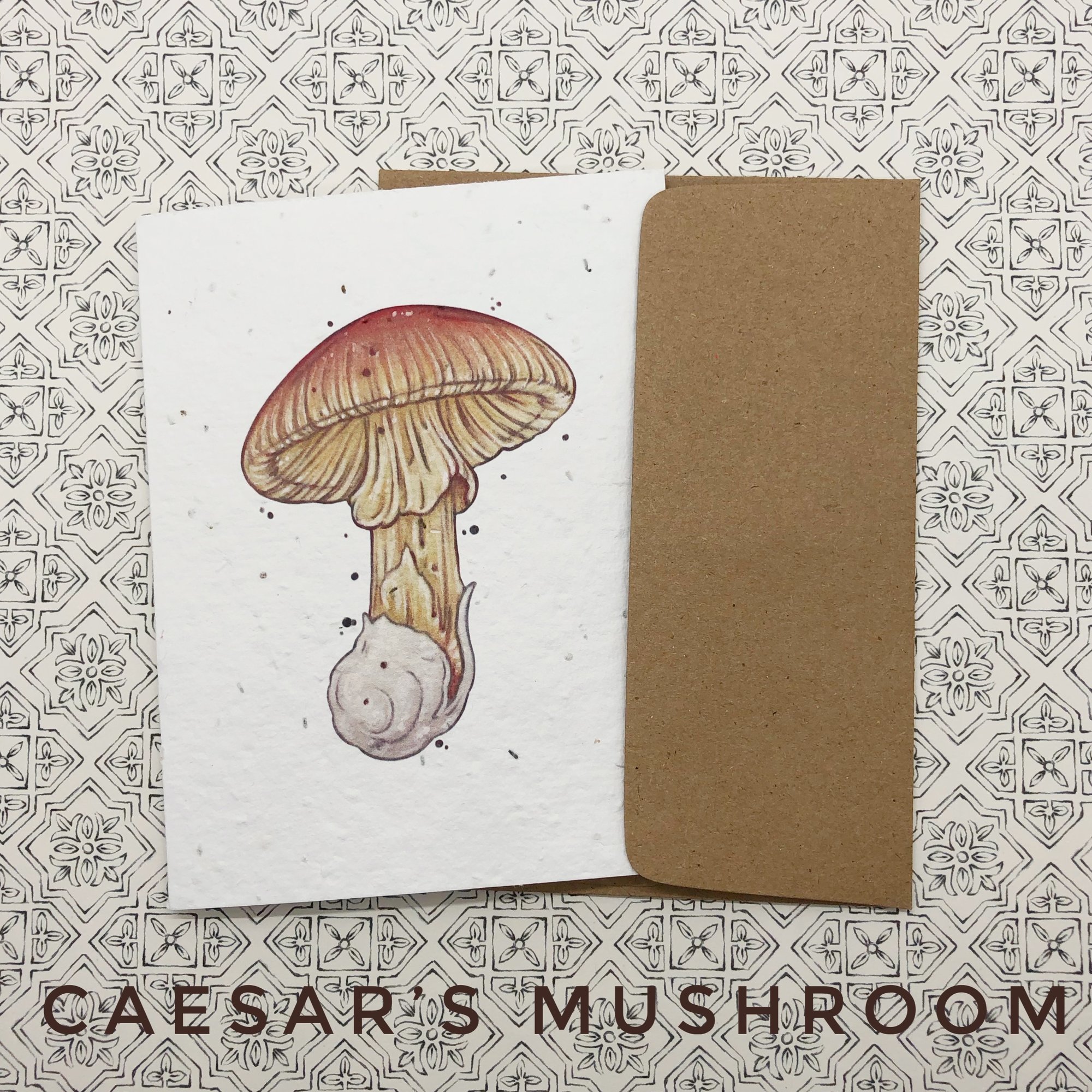 Mushroom Greeting Cards | Crafted Sigil (formerly Smudge Books) Mushroom Greeting Cards | Crafted Sigil (formerly Smudge Books)