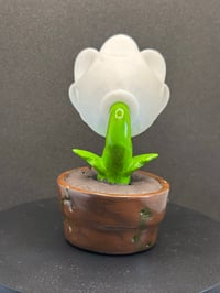 Image 3 of Moon flower (white)