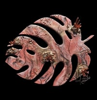 Image 1 of Monostera