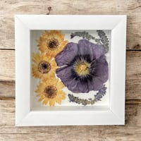 Image 3 of Plum Hollyhock, Veronica & Daisies- Wildflower Art In 6" X 6" Shadow Box (Item# 202309S)