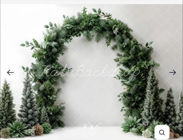 Image of Indoor studio holiday minis *retainer*