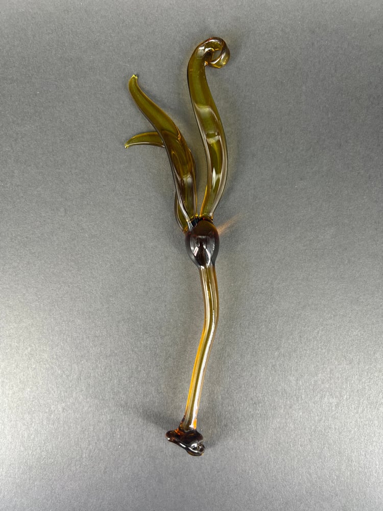 Image of Bull Kelp Ornament