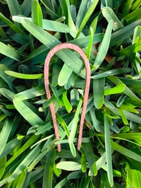 Image 12 of Wild Copper Roots