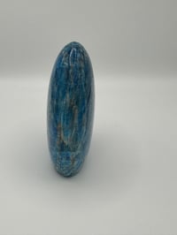 Image 4 of Blue Apatite Freeform