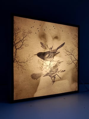 Image of Silencio, naturaleza. Dual