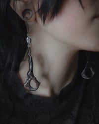 Image 1 of Pelvic bone earrings