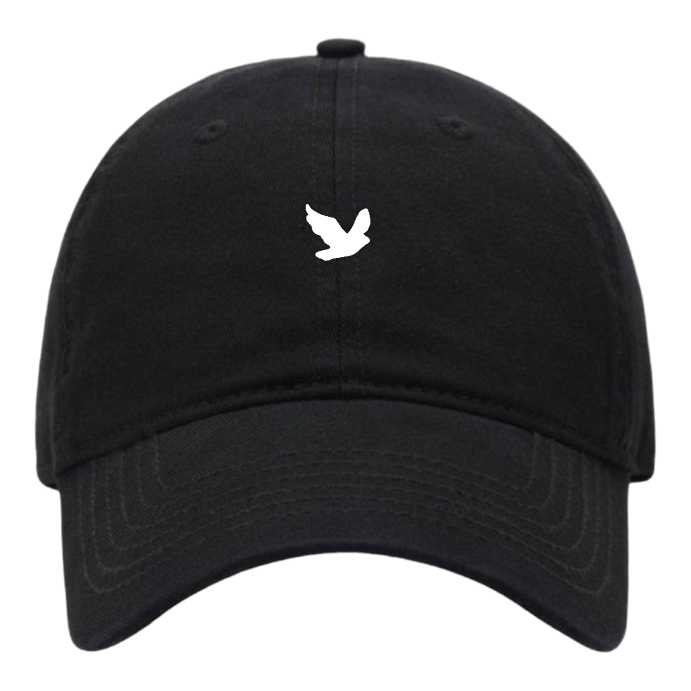 Image of Alexander Anthony Dad Hat