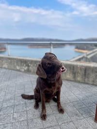 Image 1 of Listing for Mary Kay 