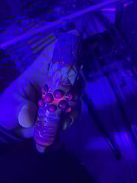 Image 4 of Amber Purple ChunkyChillie