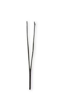 Image 2 of Eyelash Applicator 