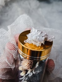 Image 2 of Reserved for Jennifer !!! Baby dove 