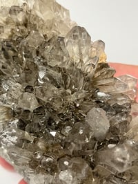 Image 12 of Smoky Quartz Cluster | Brazil #2984