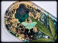 Image 2 of CHiLL OuT Tray II 5"