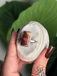 Image 2 of LAGUNA LACE AGATE RING O .925 SS SIZE 8