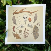 Image 3 of Woodland Offerings A3 Square Print