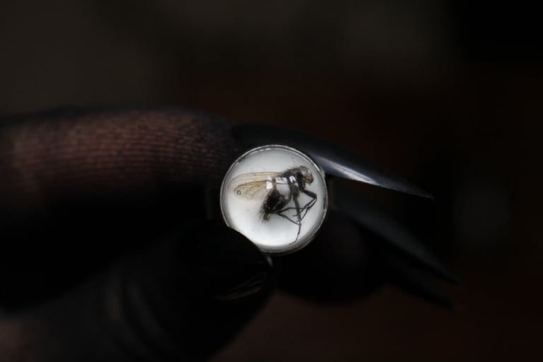 Dead Good naturally deceased Fly ring Image 8