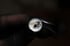 Dead Good naturally deceased Fly ring Image 8