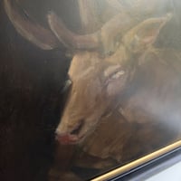 Image 3 of white buck 