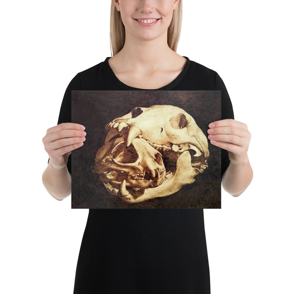 Photo Print: Bobcat Skull Inside Bear Skull